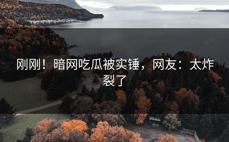 刚刚！暗网吃瓜被实锤，网友：太炸裂了