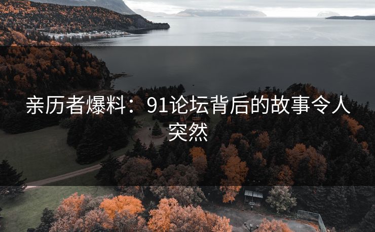 亲历者爆料：91论坛背后的故事令人突然