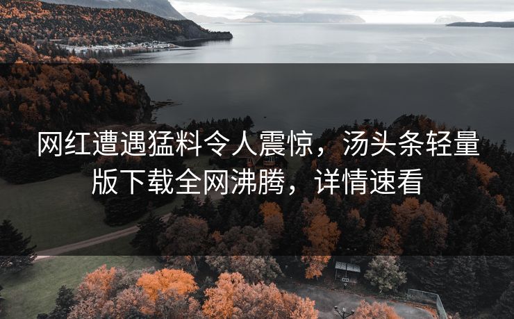 网红遭遇猛料令人震惊，汤头条轻量版下载全网沸腾，详情速看