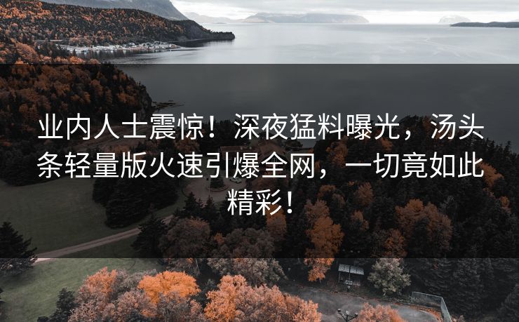 业内人士震惊！深夜猛料曝光，汤头条轻量版火速引爆全网，一切竟如此精彩！
