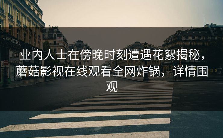 业内人士在傍晚时刻遭遇花絮揭秘，蘑菇影视在线观看全网炸锅，详情围观