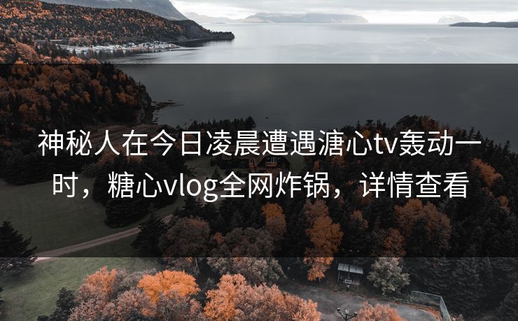 神秘人在今日凌晨遭遇溏心tv轰动一时，糖心vlog全网炸锅，详情查看